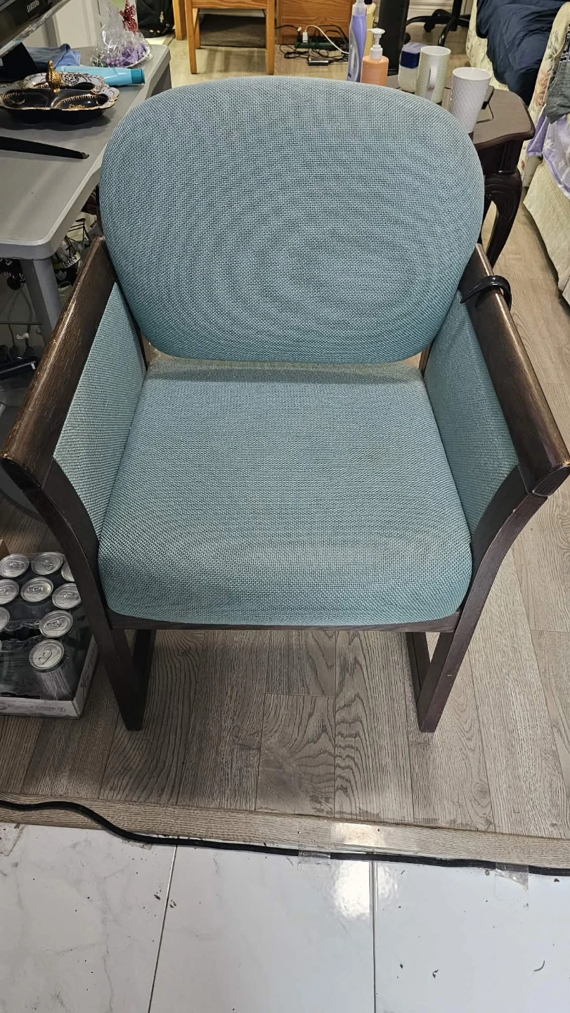 Armchair Accent Chair with Wooden Frame