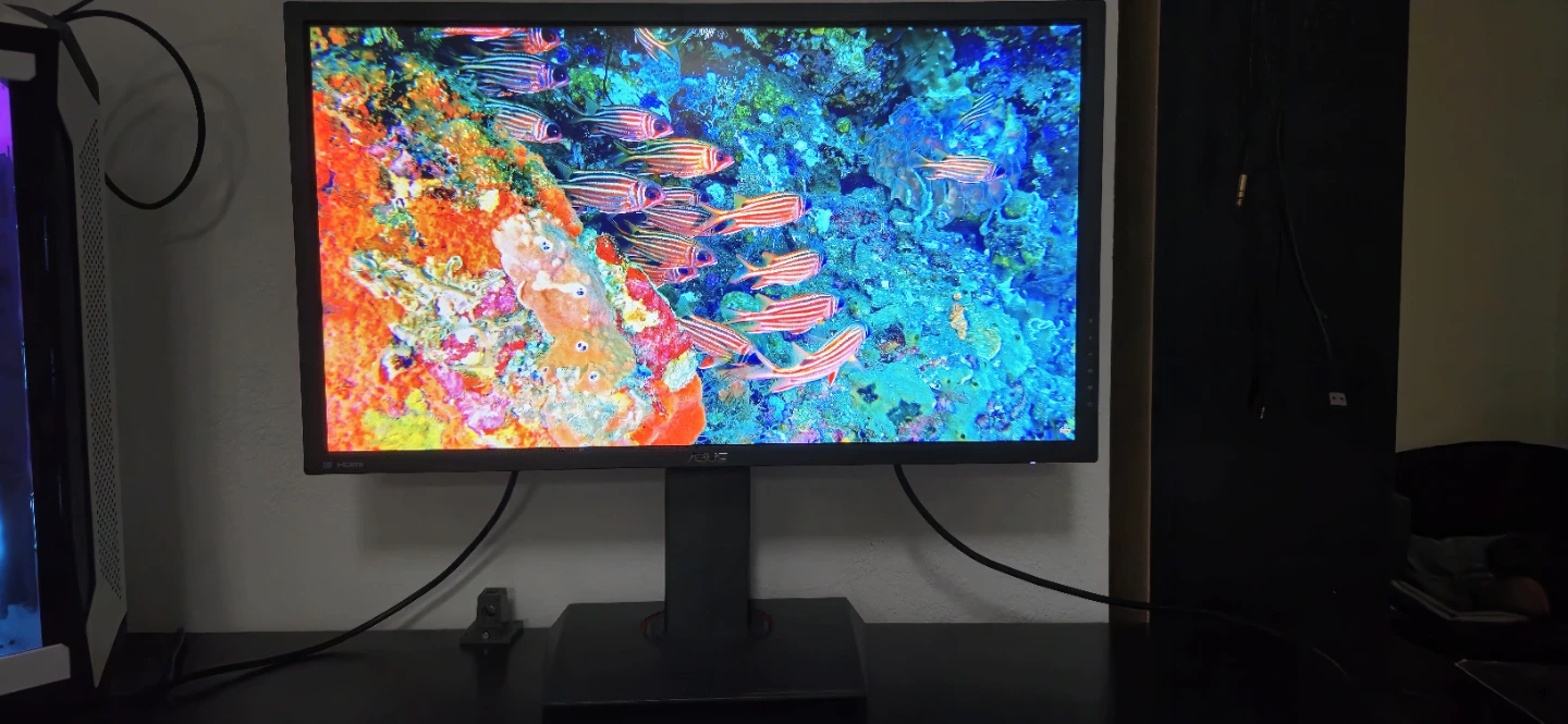ASUS 28" 4K 60hz - photo 2