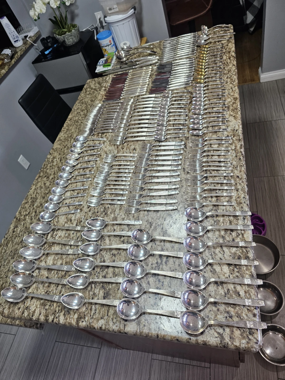 Stainless steel Silver Plated Cutlery Set