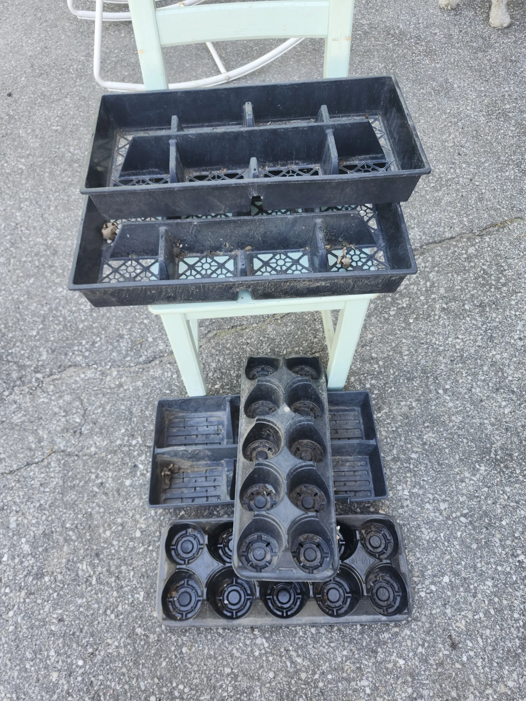 Assorted Seedling Trays