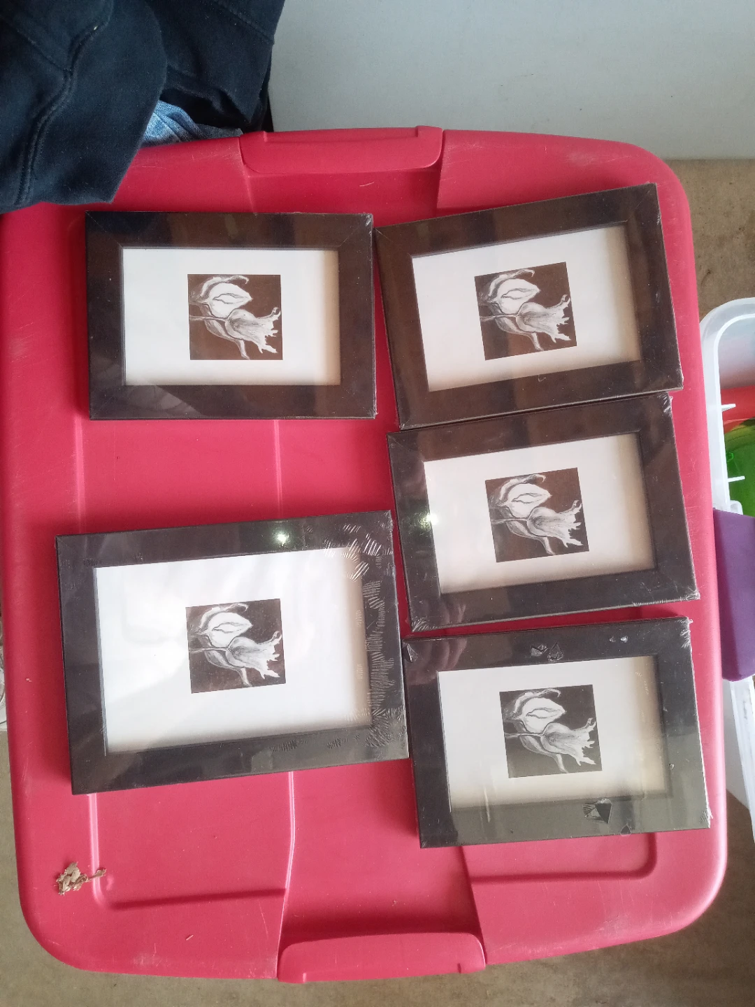 Brand New still sealed  Photo Frames