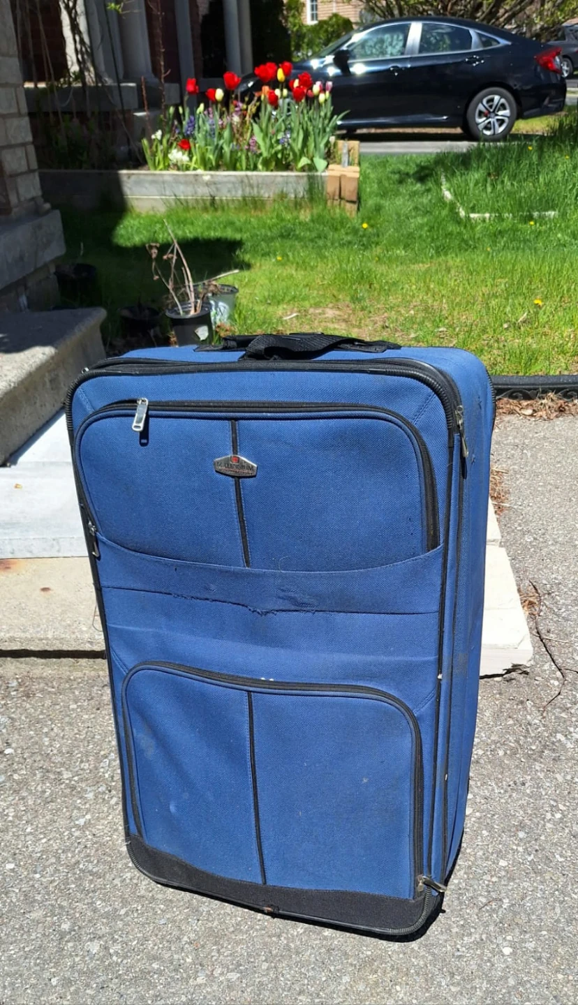 Blue Large Luggage