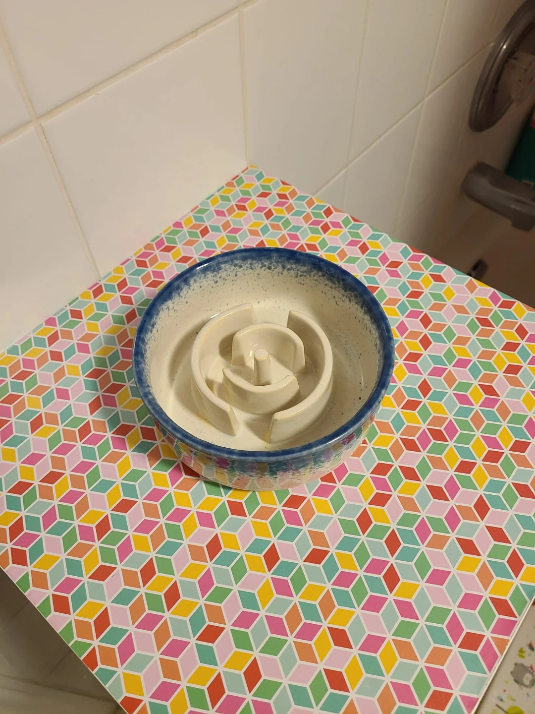 Ceramic Slow Feeder Pet Bowl