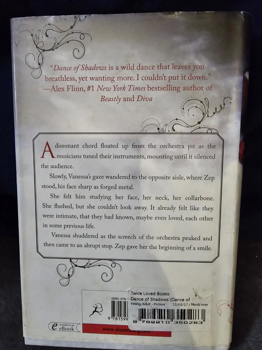 Dance of Shadows by Yelena Black - Young Adult Novel - photo 4