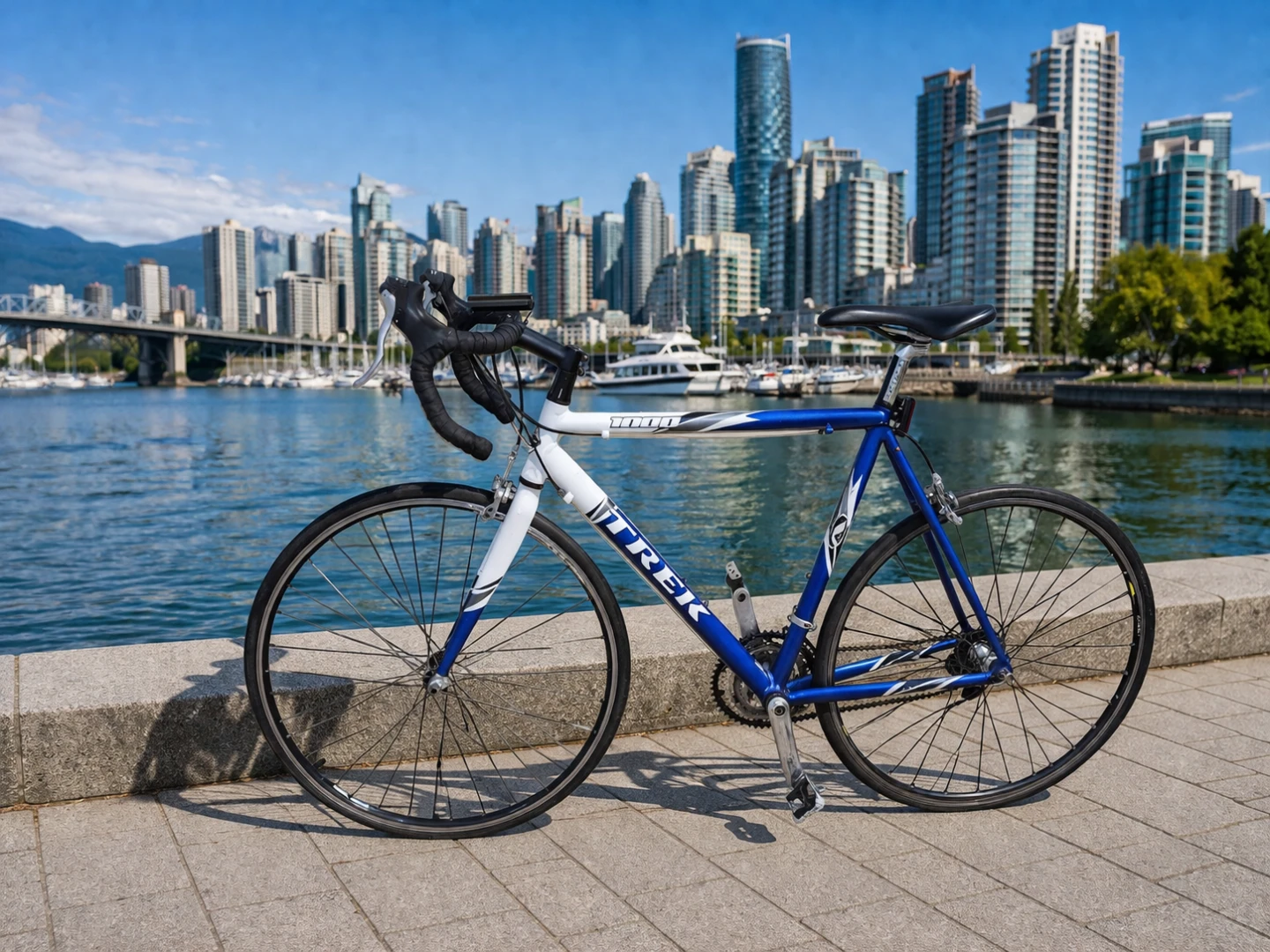 Trek Road Bike