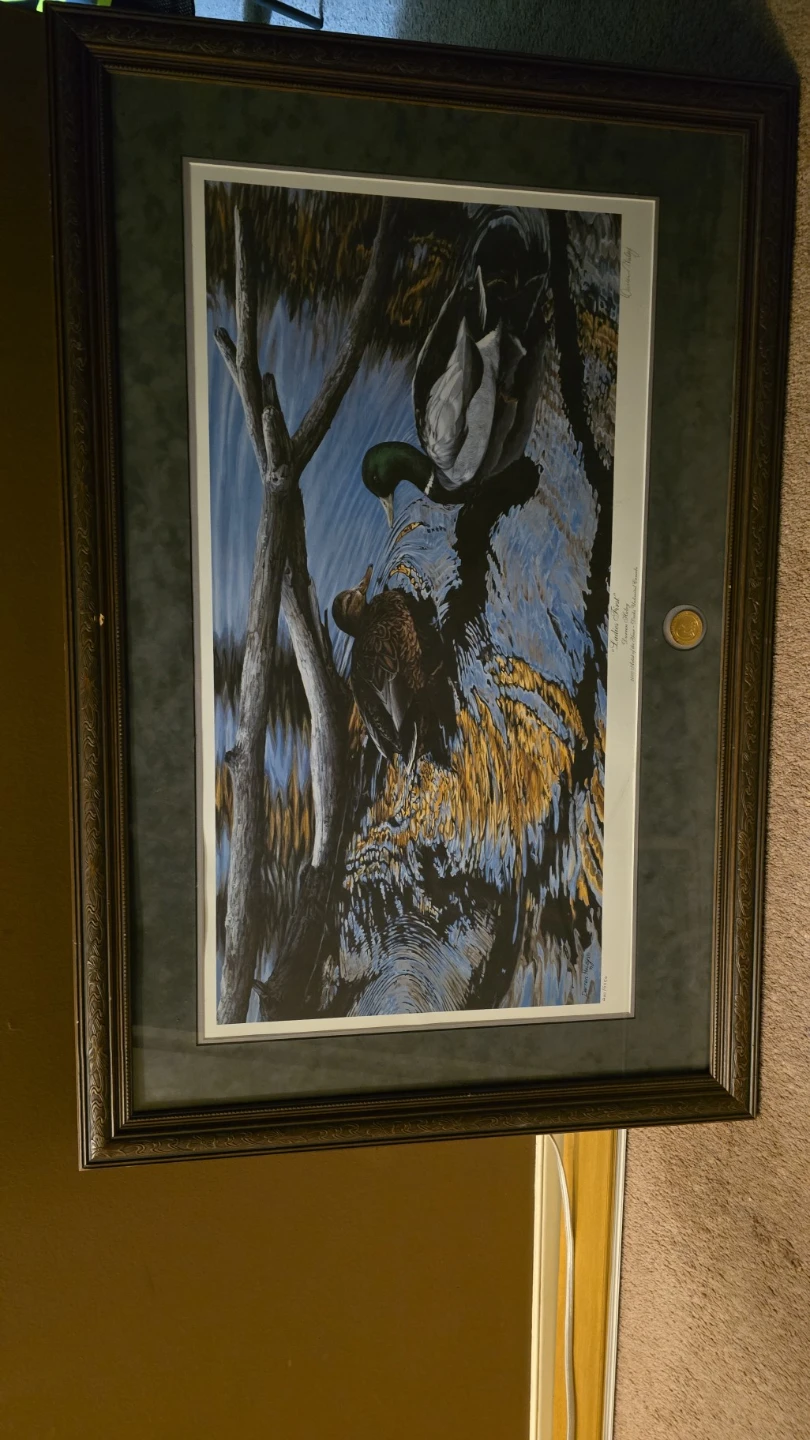 Ladies First Framed Print by Darren Haley - photo 3