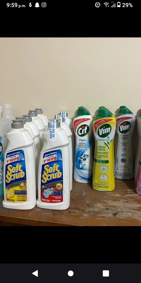 Fabulosa Multi-Purpose Cleaner Lot - photo 2