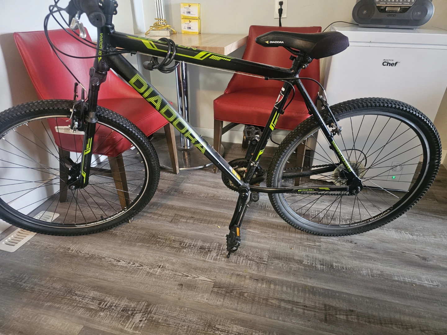 Adult bike no brakes