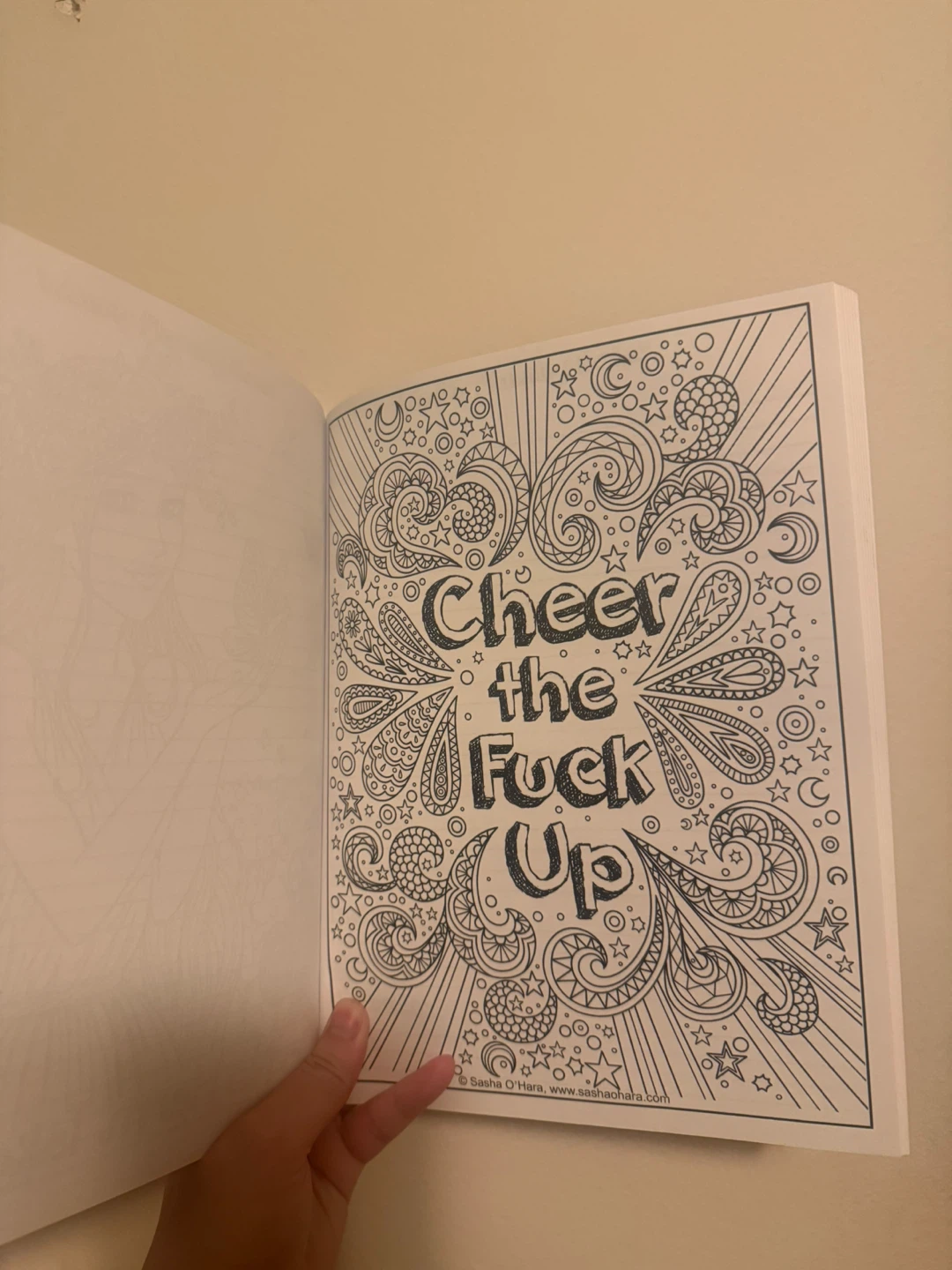 Adult Colouring Book & Planner - Great Funny Gift! - photo 2