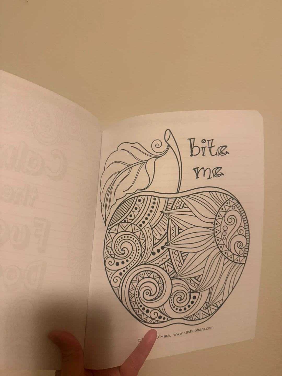 Adult Colouring Book & Planner - Great Funny Gift! - photo 5