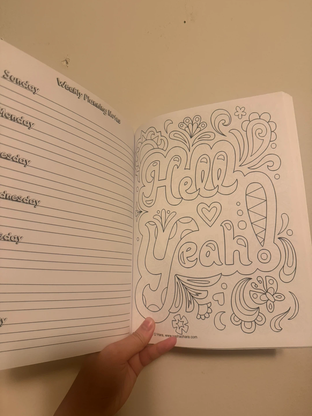 Adult Colouring Book & Planner - Great Funny Gift! - photo 3