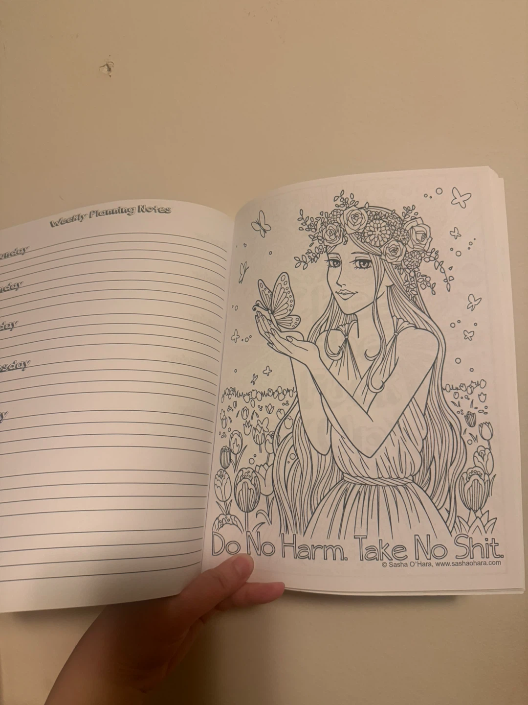 Adult Colouring Book & Planner - Great Funny Gift! - photo 4