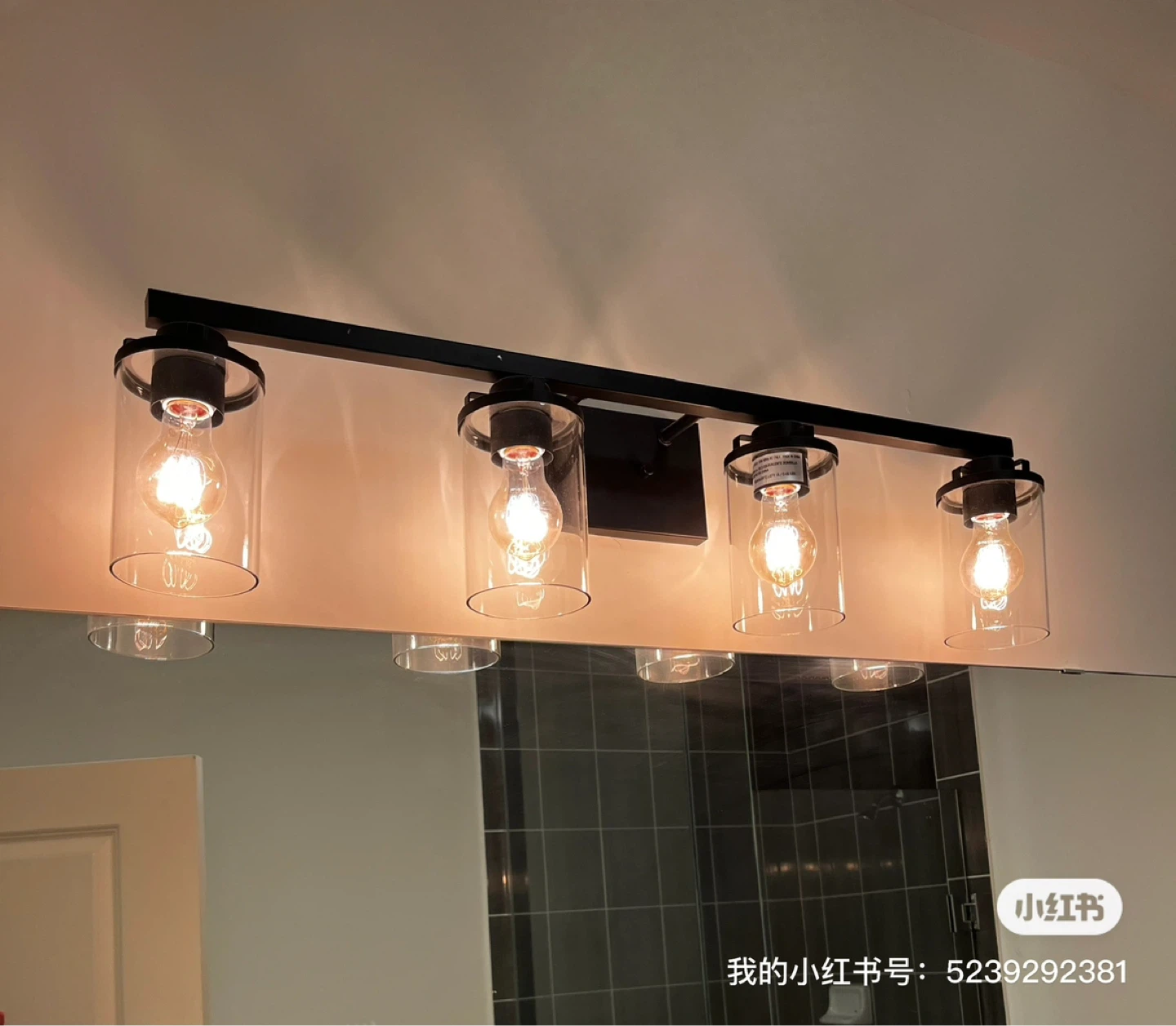 4-Light Black Vanity Light Fixture with Glass Shades
