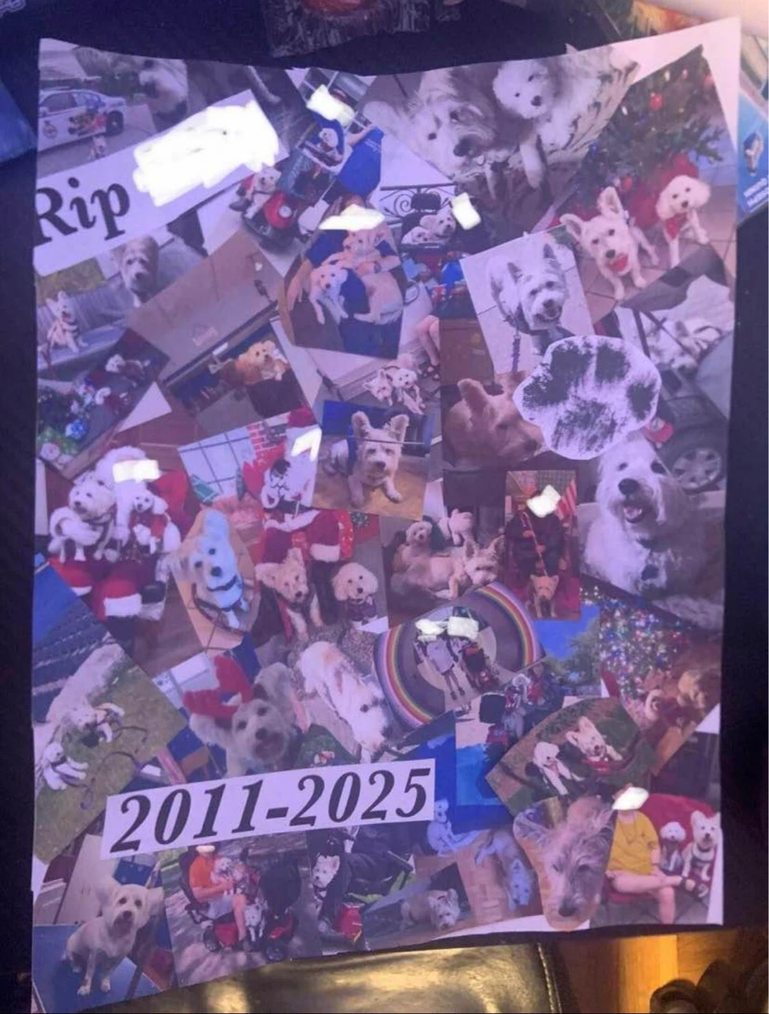 Custom collages (Great For Mothers Day Gifts)