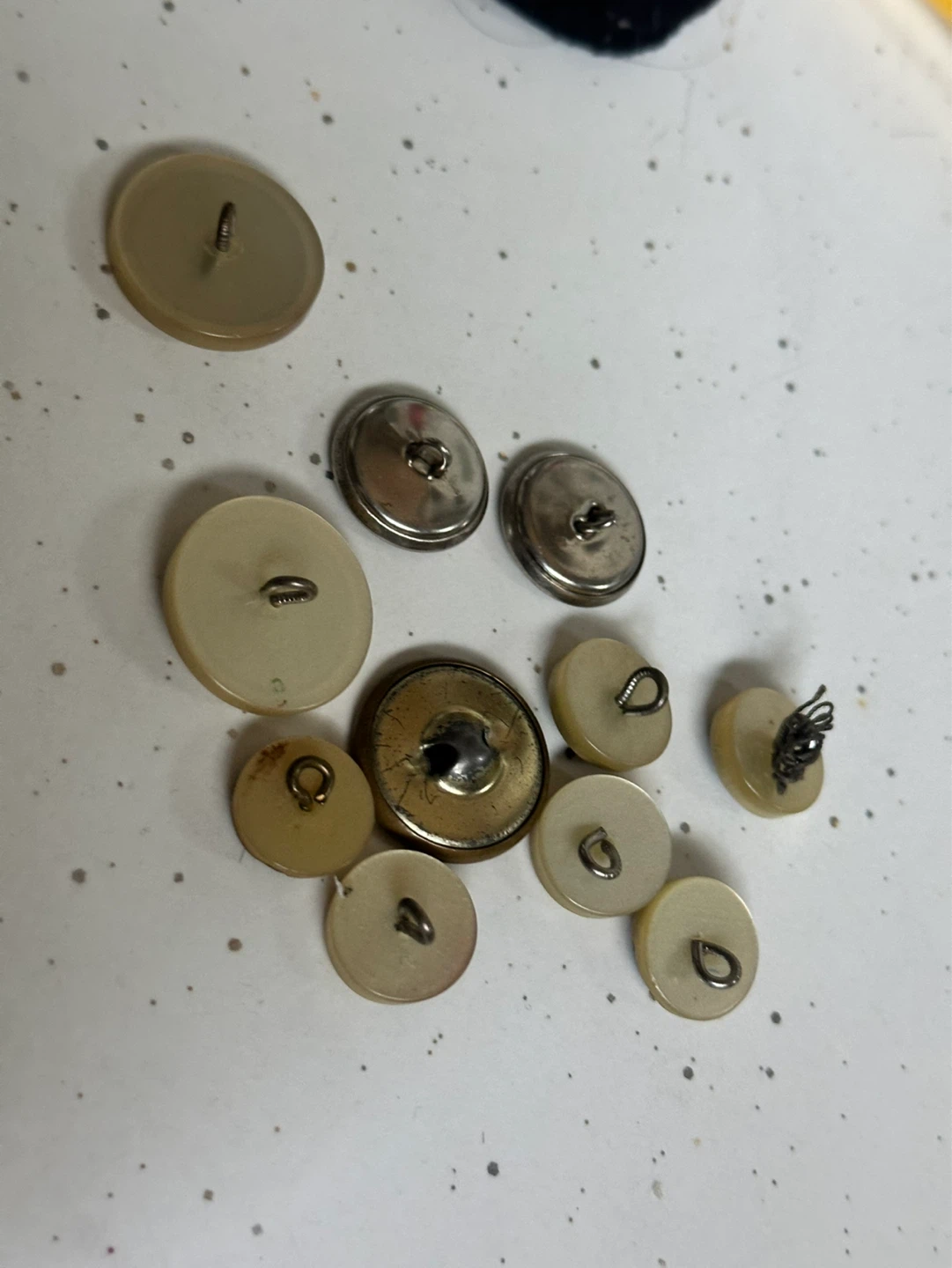 Lot of 11 Spectemur Agendo Lion Crest Military Buttons - photo 4