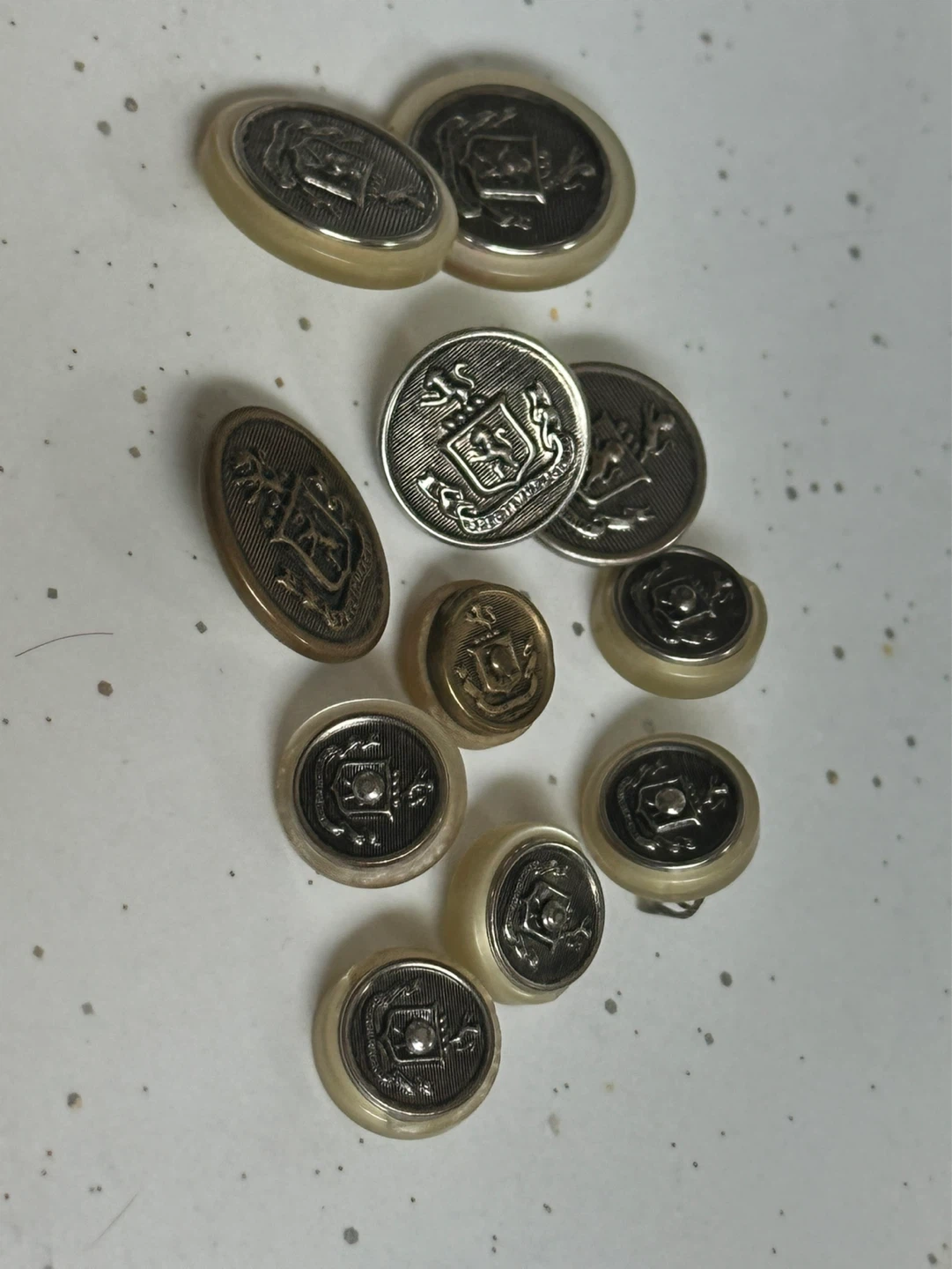 Lot of 11 Spectemur Agendo Lion Crest Military Buttons