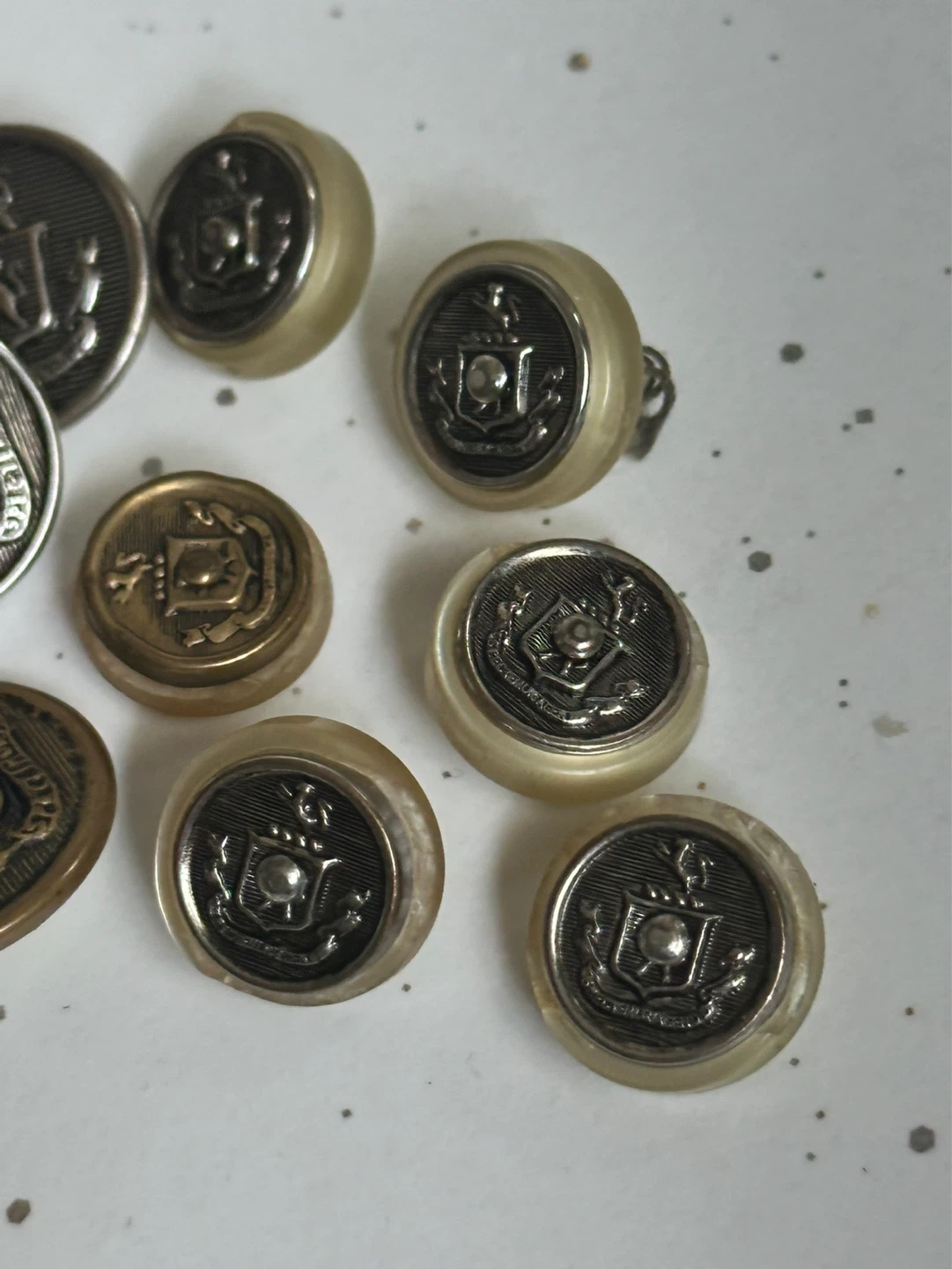 Lot of 11 Spectemur Agendo Lion Crest Military Buttons - photo 2