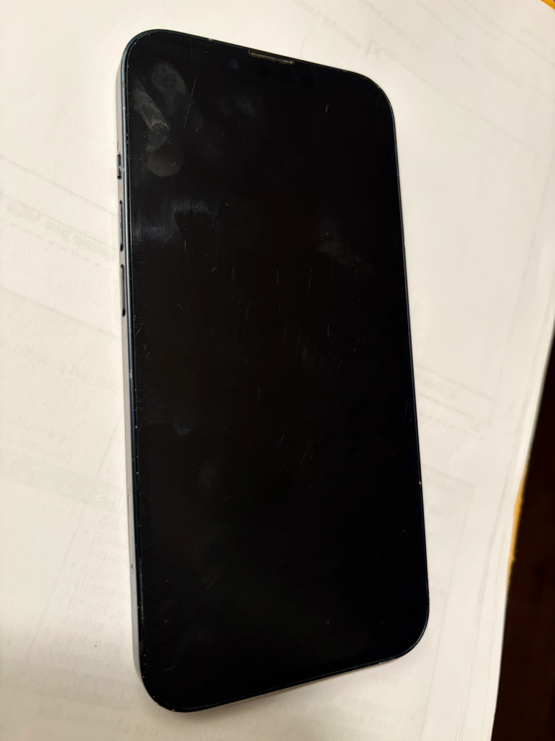 Apple iPhone 13 - photo 4