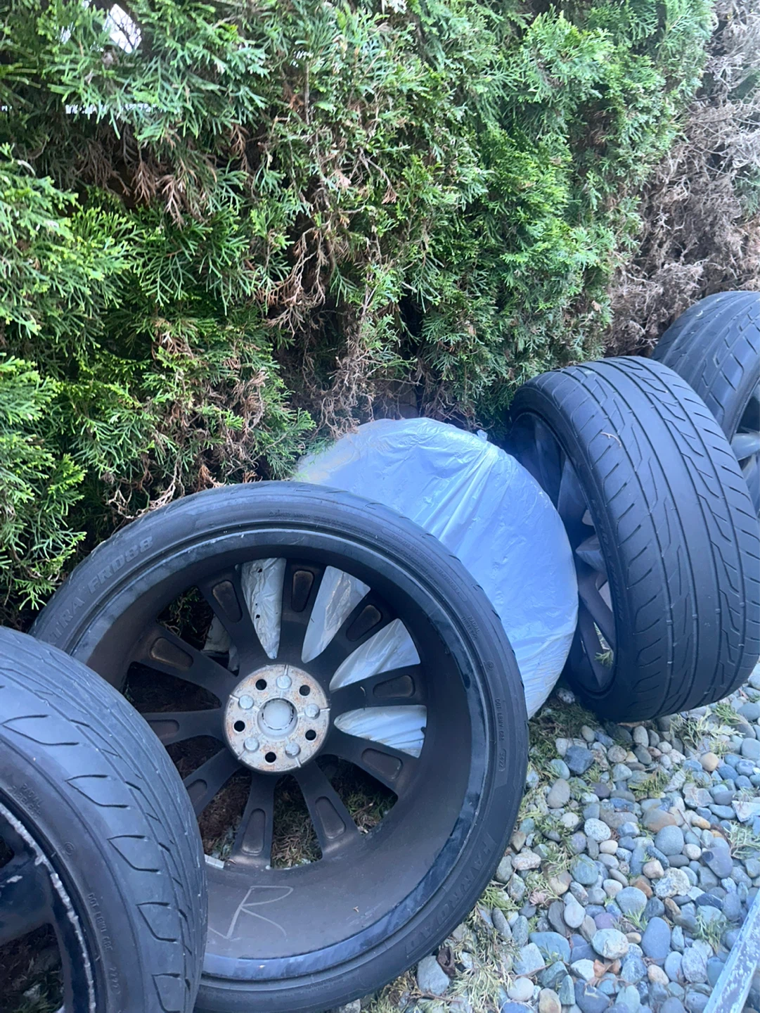 Tesla tires and Rims