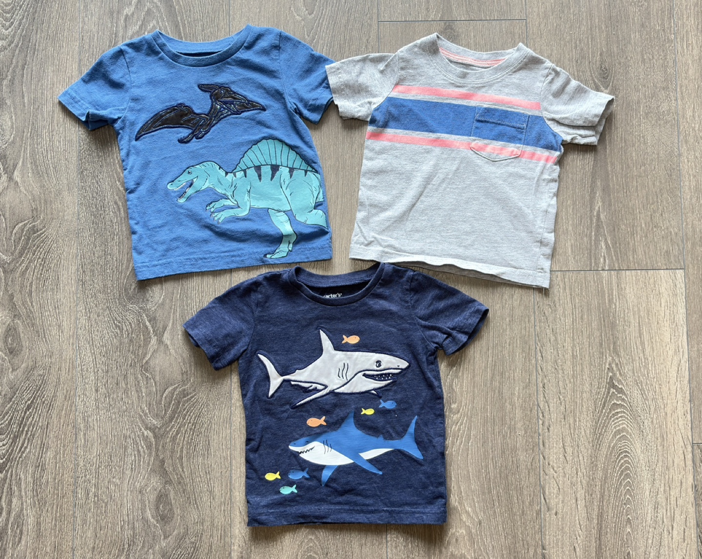 Baby Boy Clothes Lot (12m) - photo 5