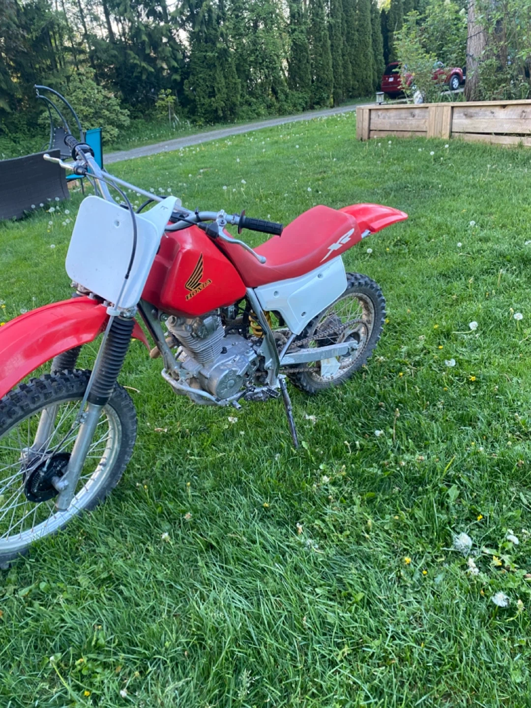 2002 honda xr200 mint condition - photo 3