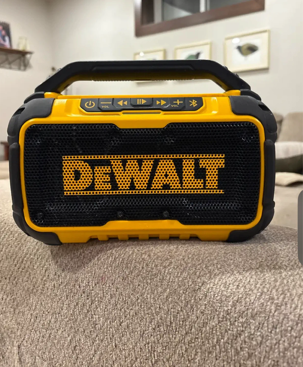 DEWALT DCR010 Bluetooth Speaker