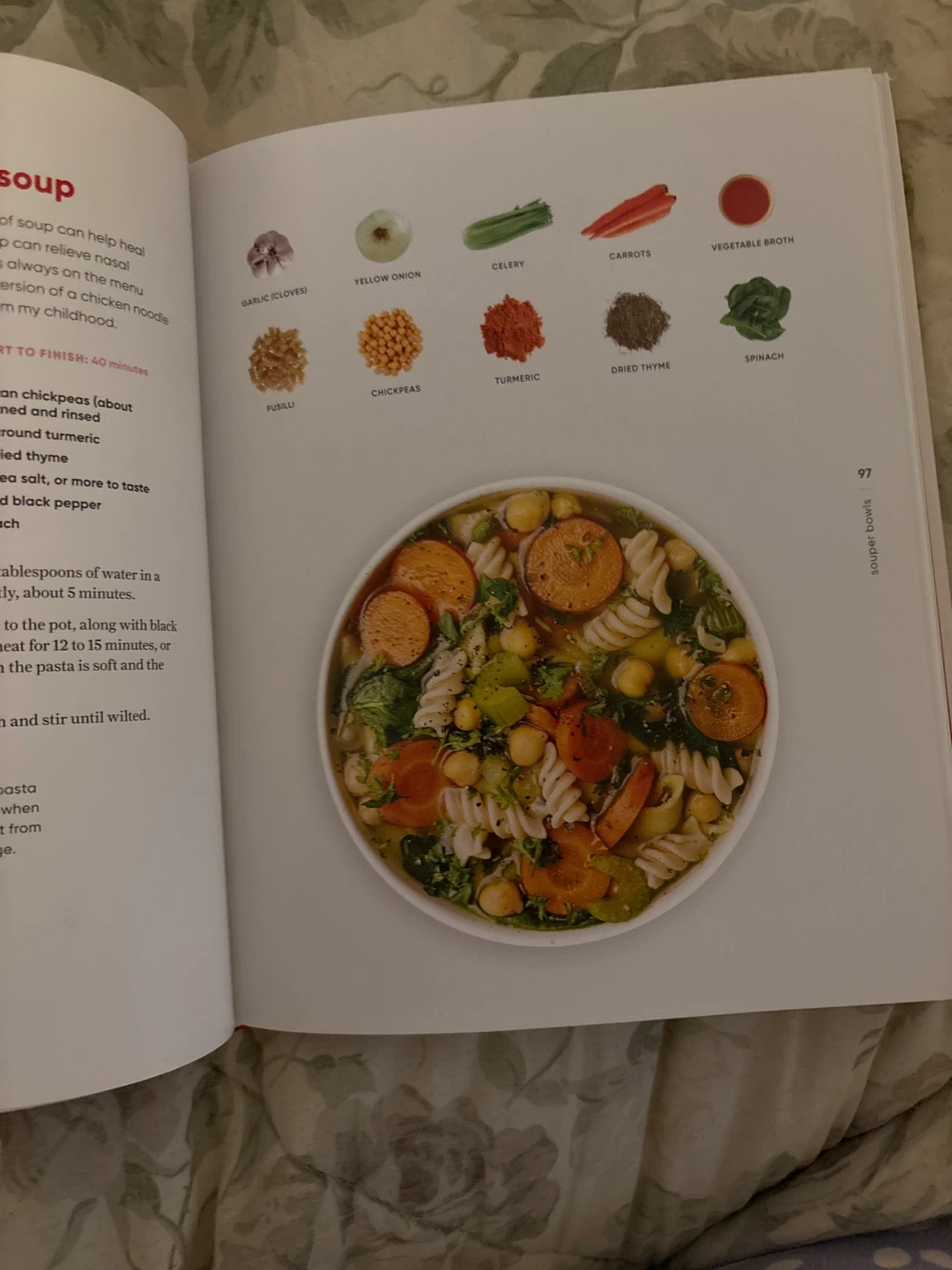 PlantYou Cookbook by Carleigh Bodrug - photo 2