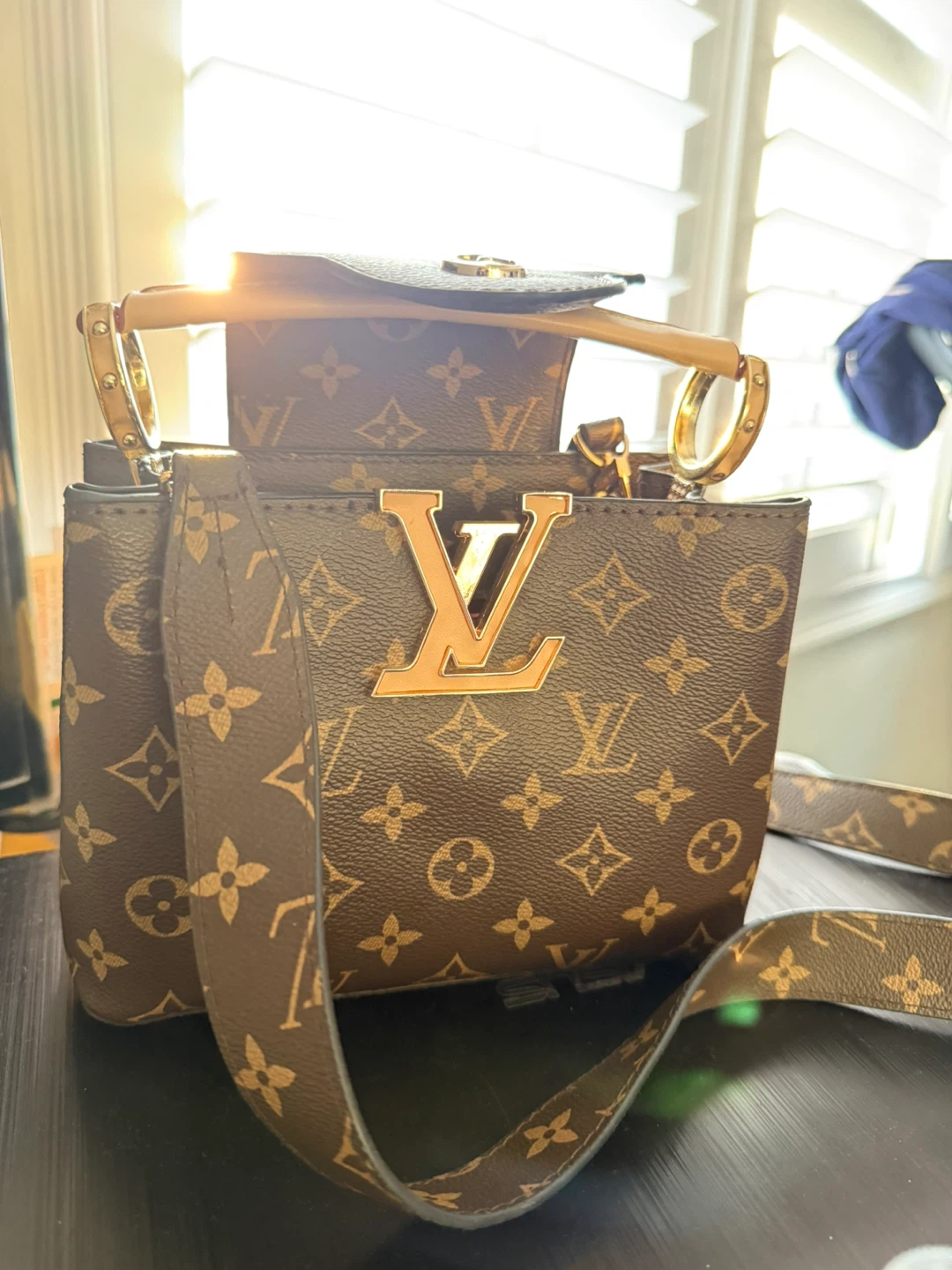 Louis Vuitton Monogram Canvas Handbag