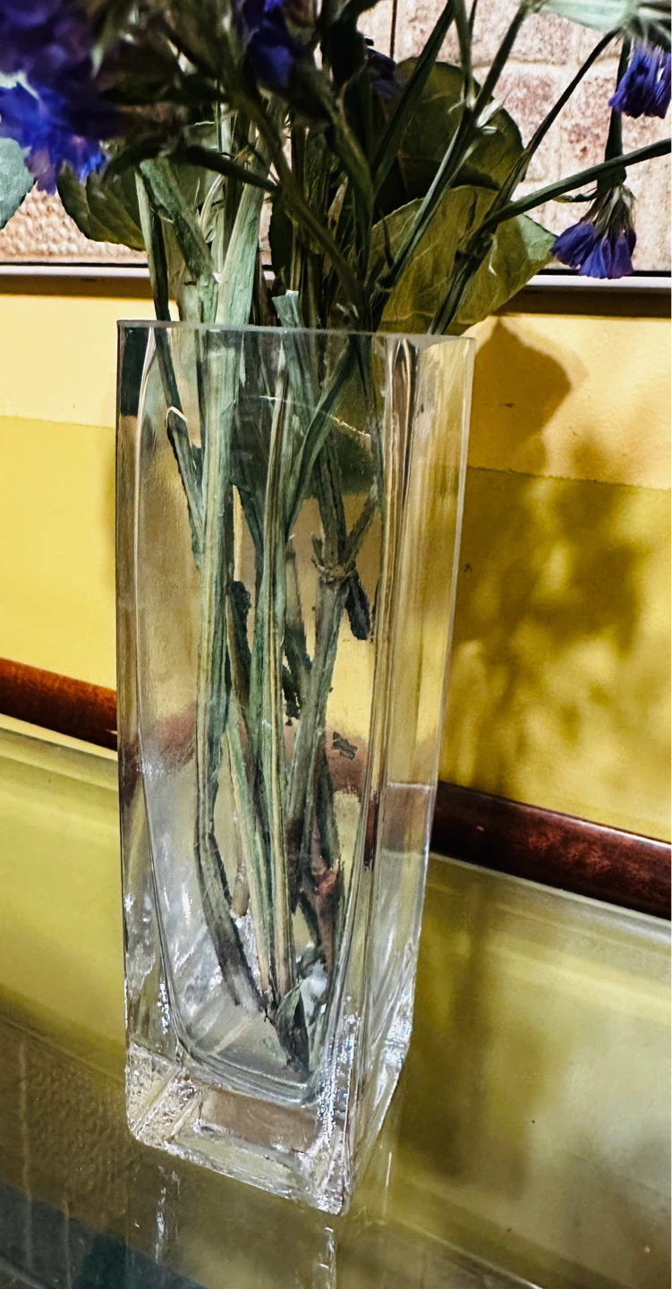 Square Clear Glass Vase 6”x 1.7”x 1.7” - photo 2