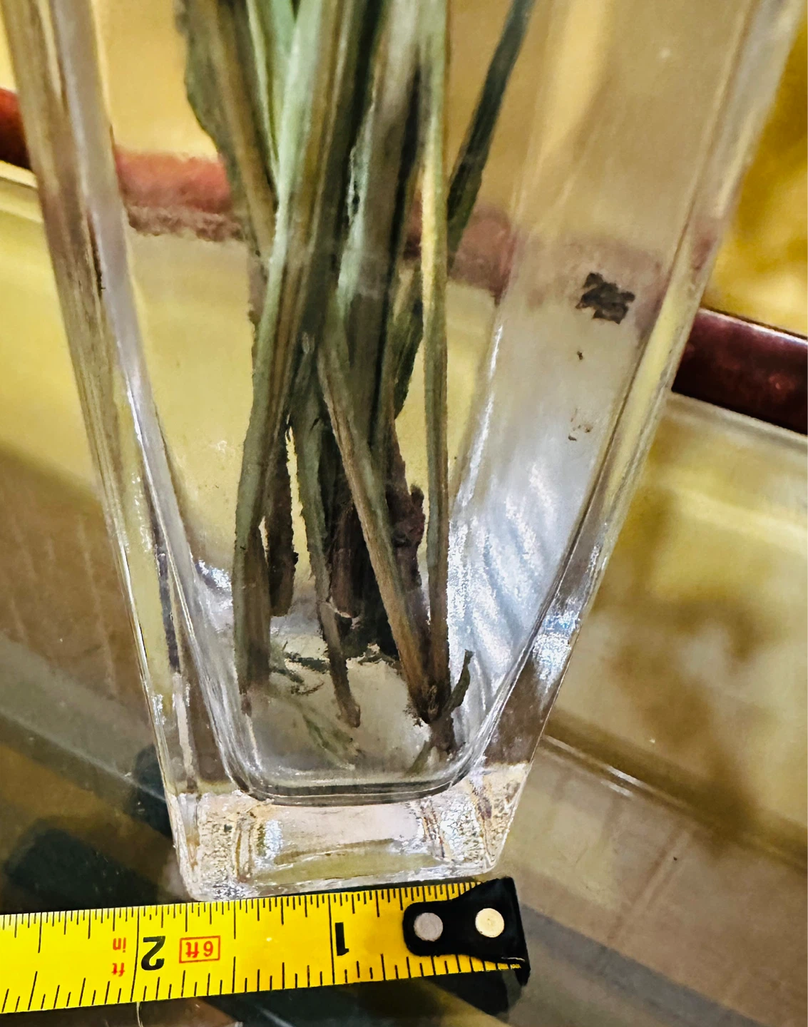 Square Clear Glass Vase 6”x 1.7”x 1.7” - photo 5