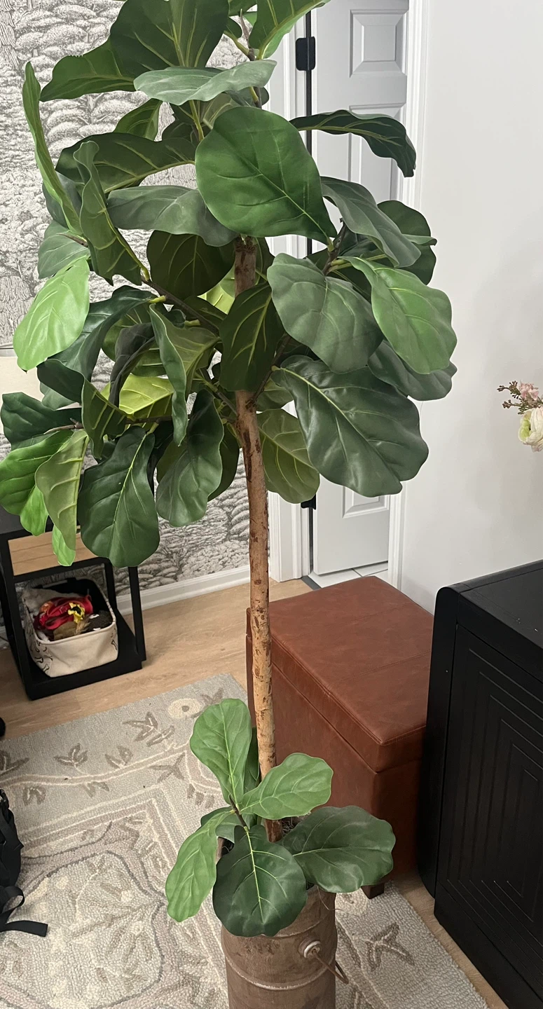 Artificial Fiddle Leaf Fig Tree - photo 5