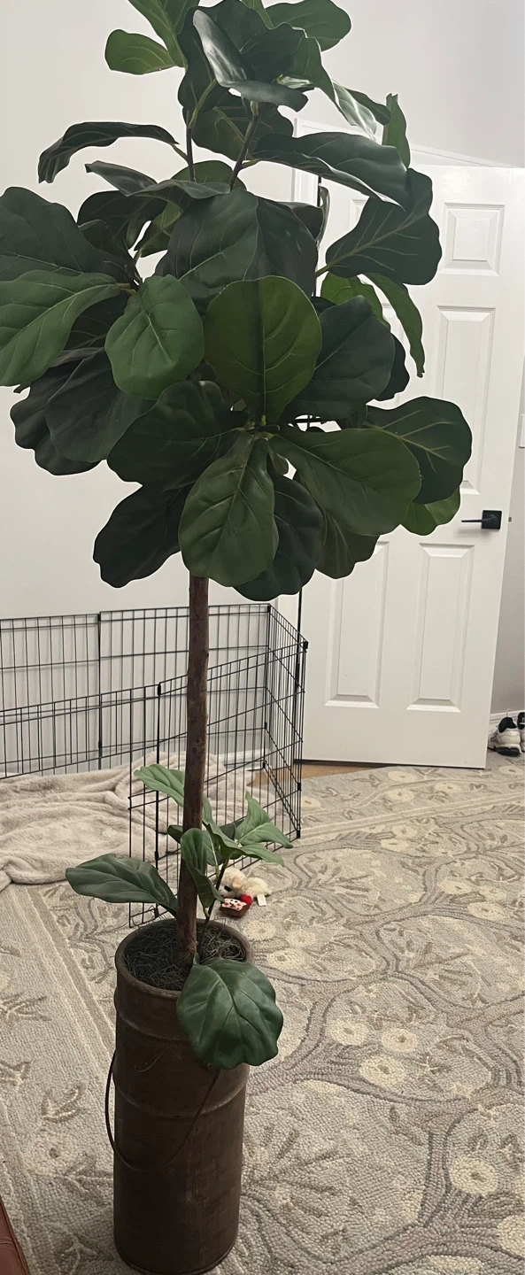 Artificial Fiddle Leaf Fig Tree - photo 3