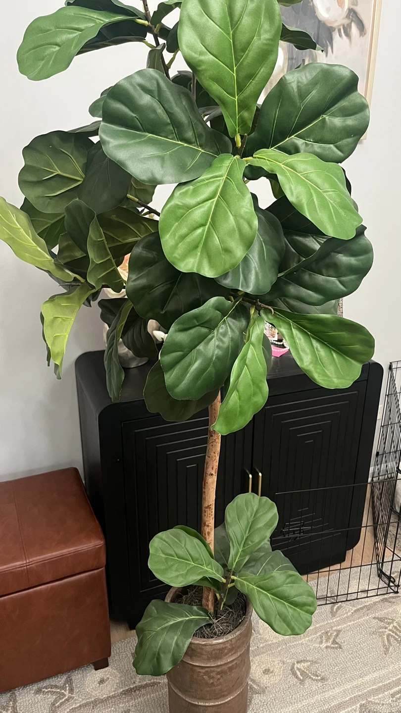 Artificial Fiddle Leaf Fig Tree - photo 2