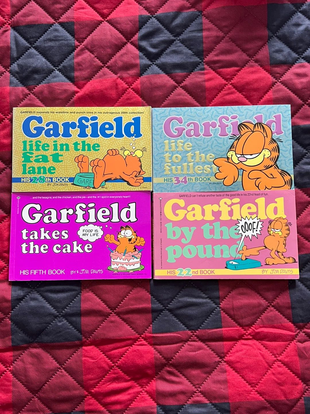 Collection of 13 Garfield Books - photo 2