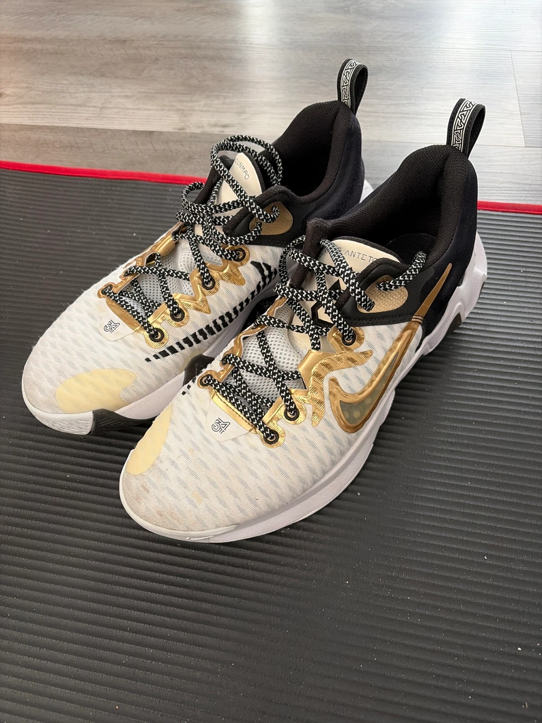 Nike Giannis Immortality 2 Basketball Shoes
