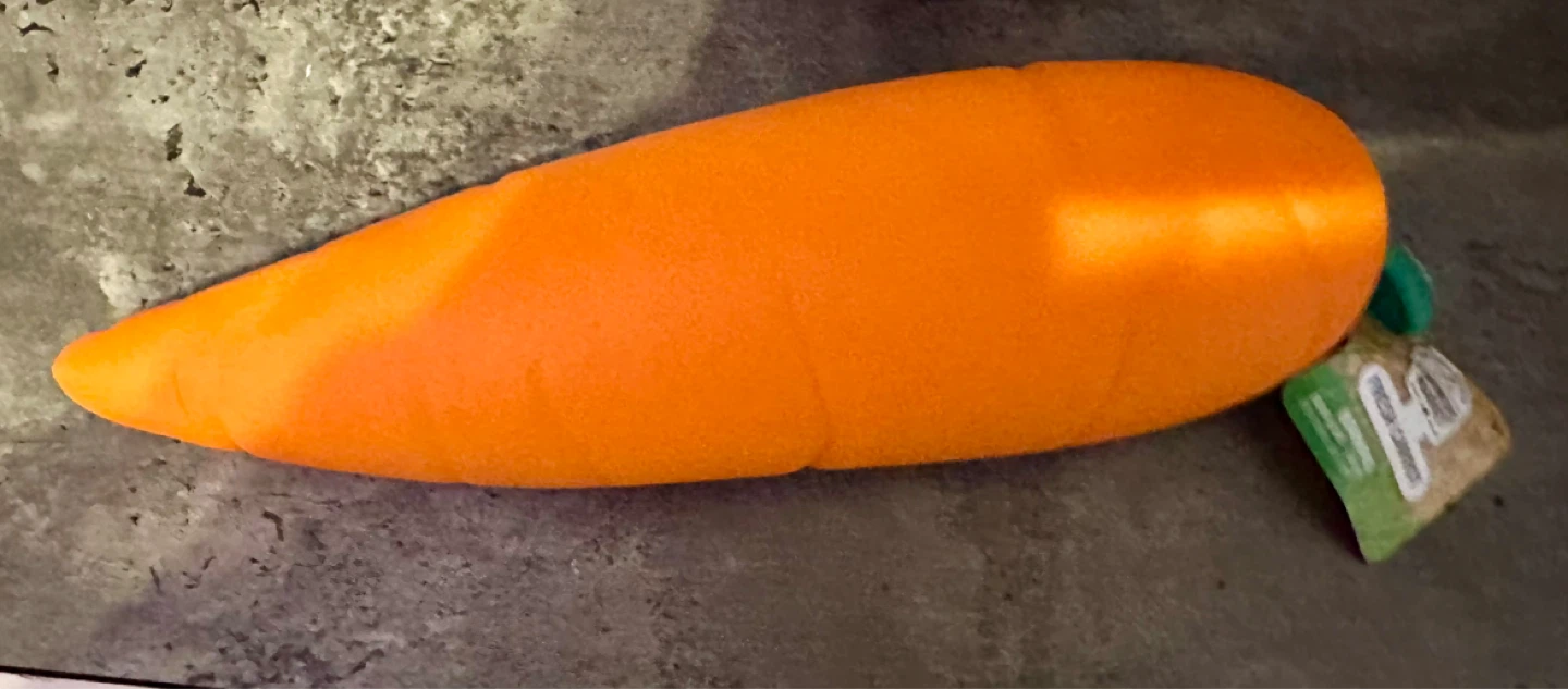 Carrot Squishy