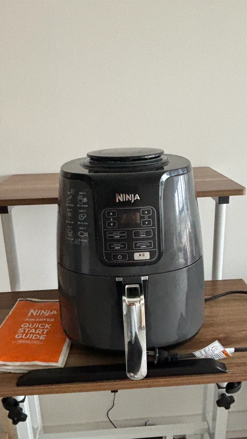 Ninja Air Fryer AF100