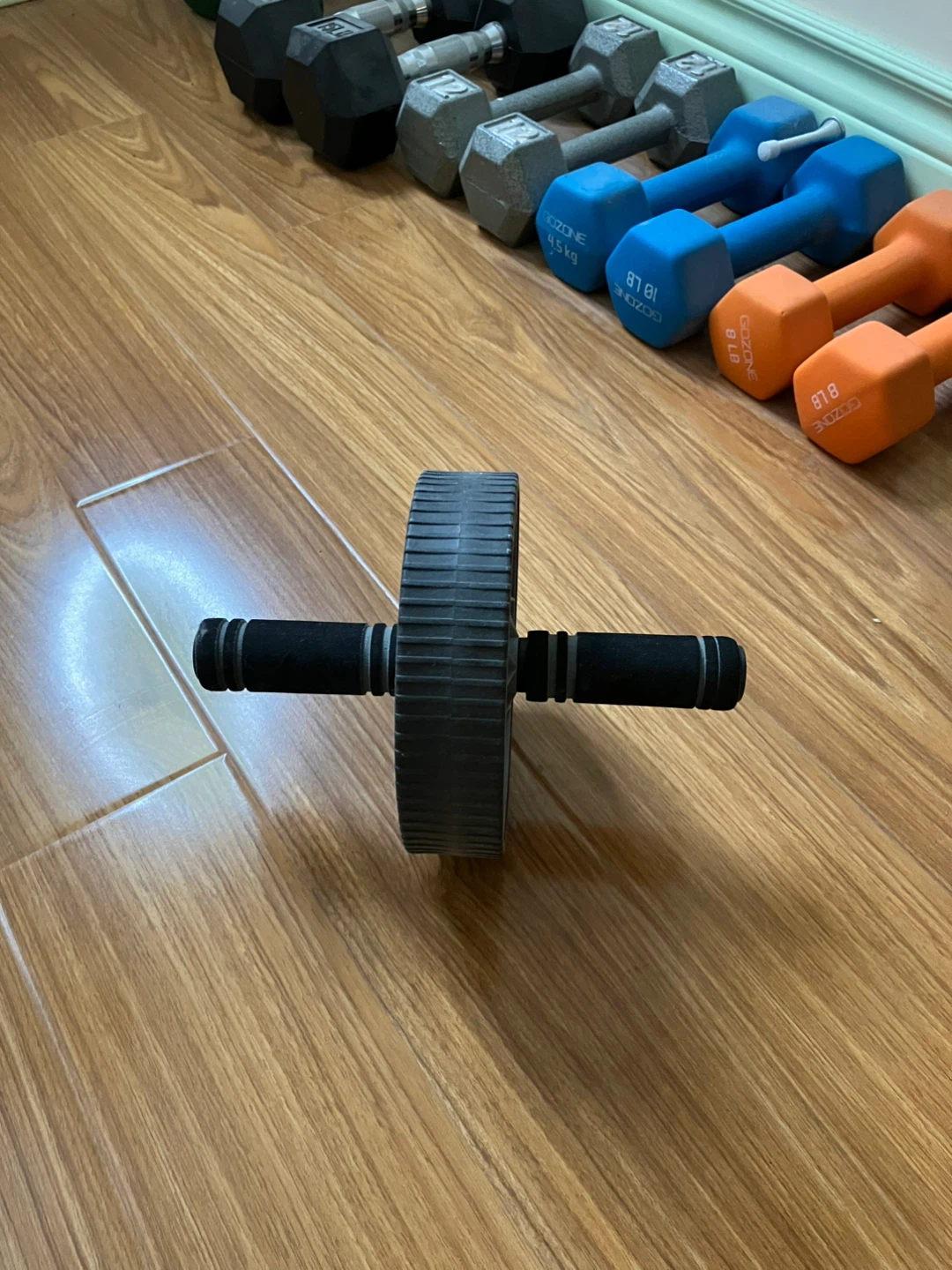 Ab Roller Wheel