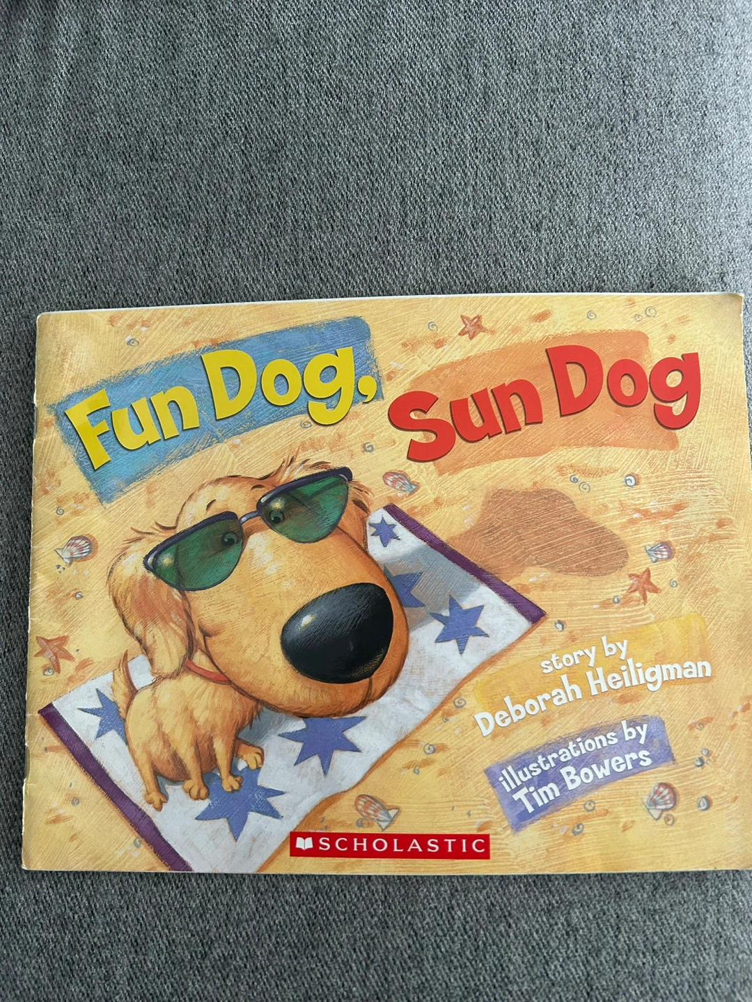 Fun Dog, Sun Dog Book