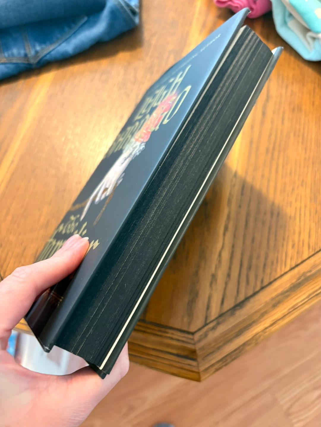 The Familiar Novel by Leigh Bardugo - photo 3
