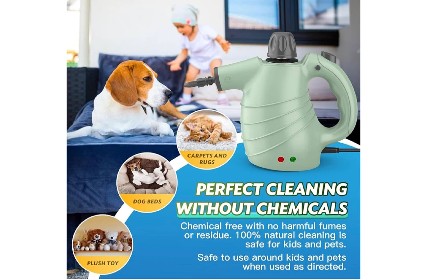 Portable Steam Cleaner