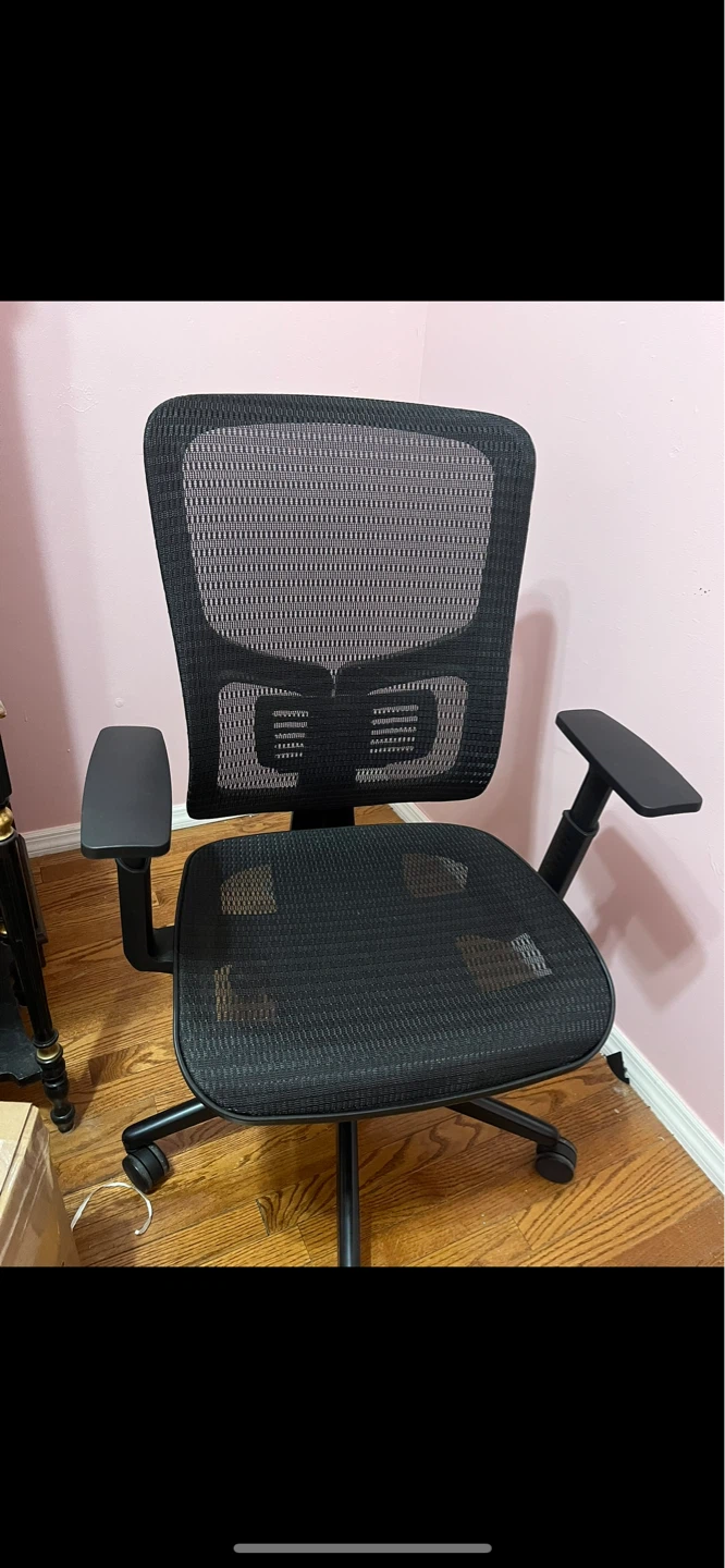 Black Mesh Office Chair with Adjustable Arms