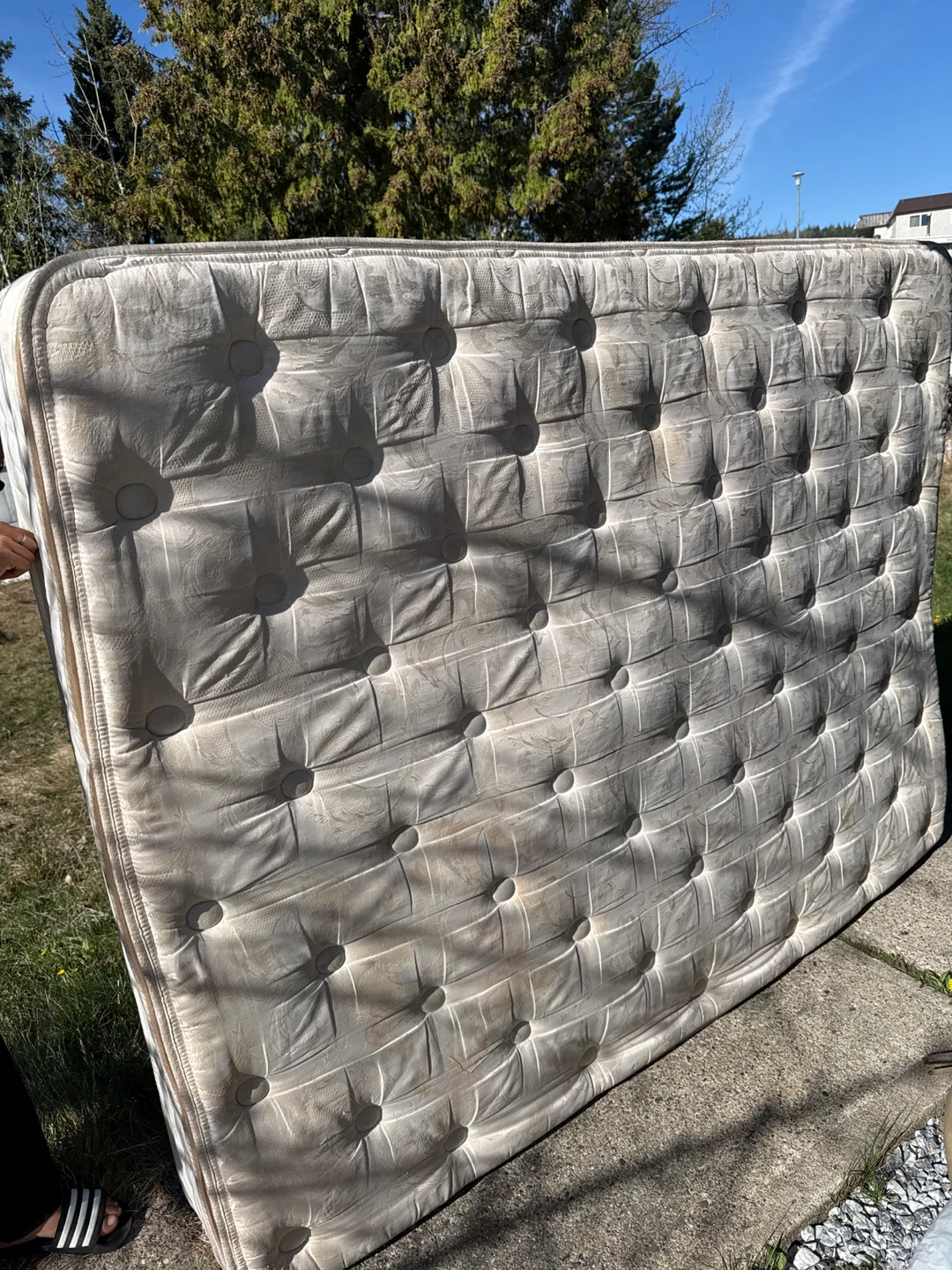 Used Twin Mattress