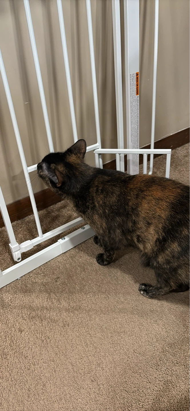 Door Gate with Cat Door / Like New - photo 2