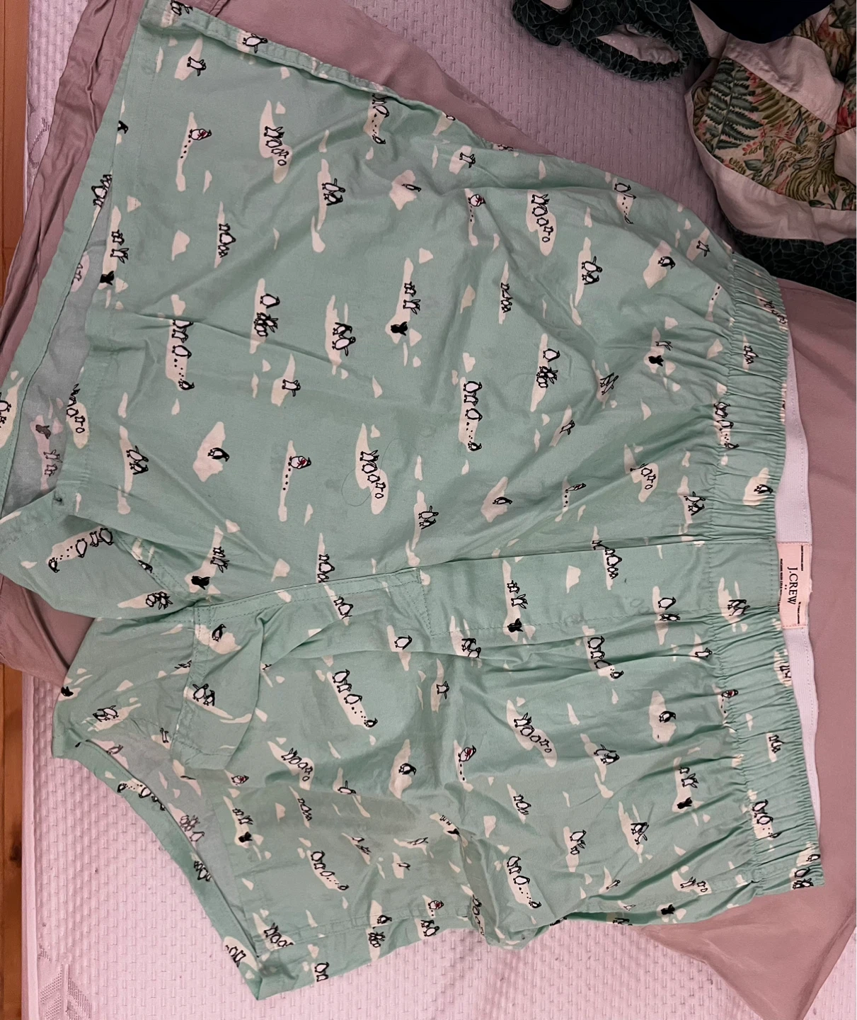 J Crew Penguins On An Ice Patch Design Mens Shorts