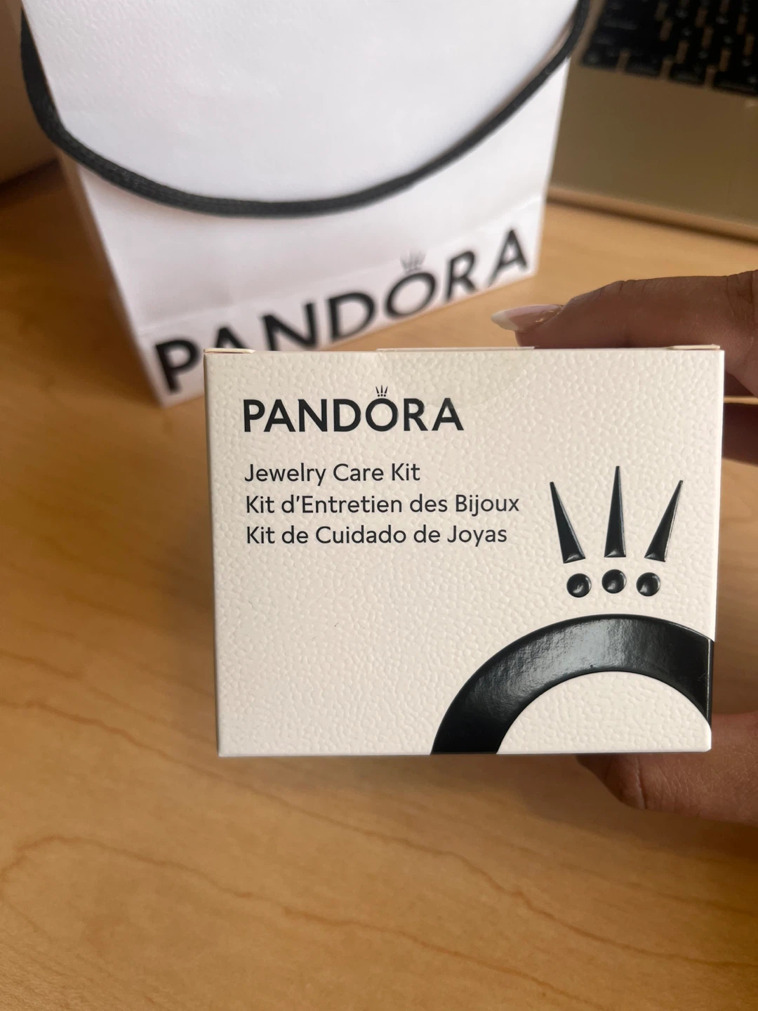 Pandora Jewelry Care Kit