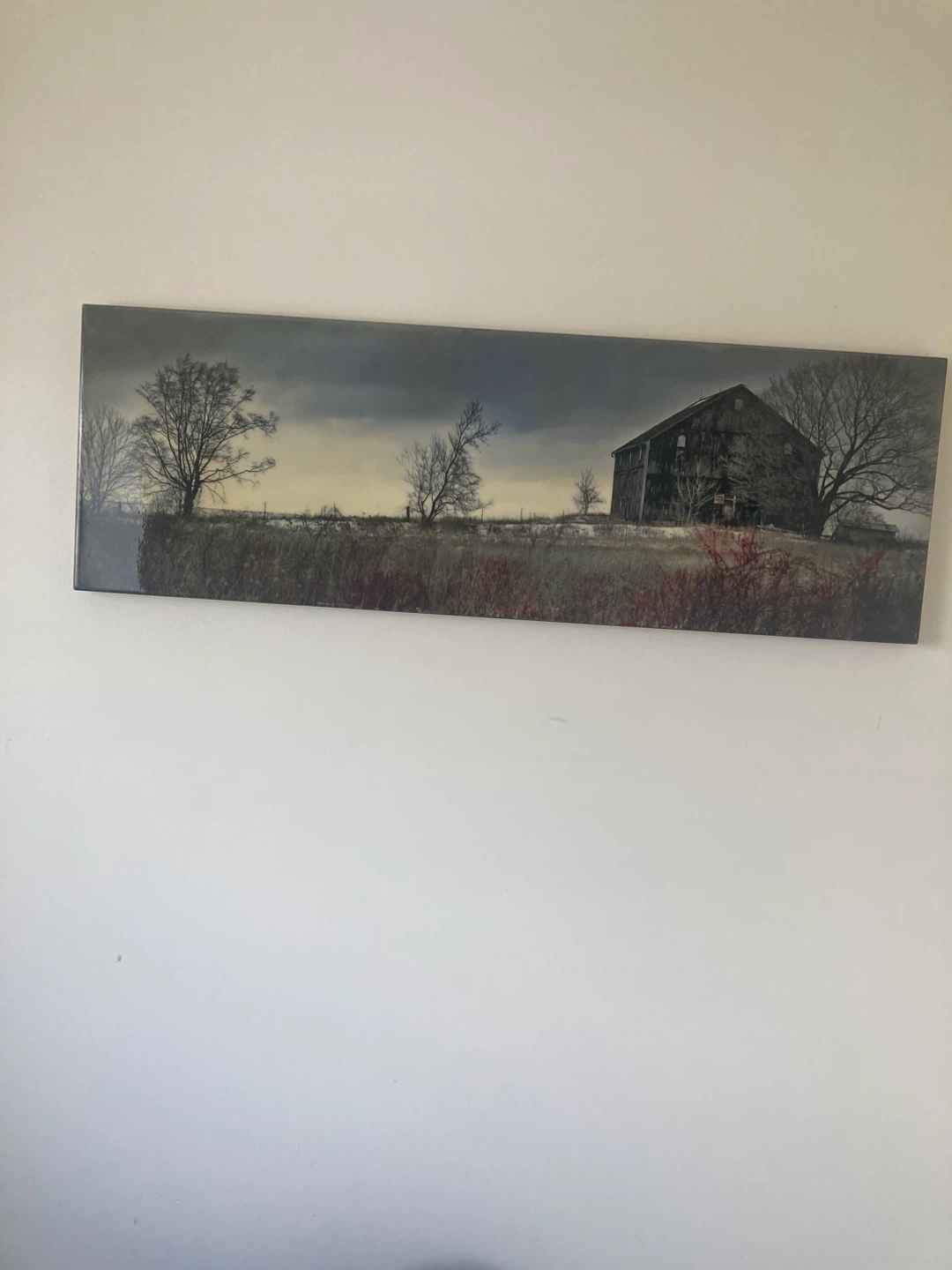 Panoramic Landscape Barn Wall Art - photo 2