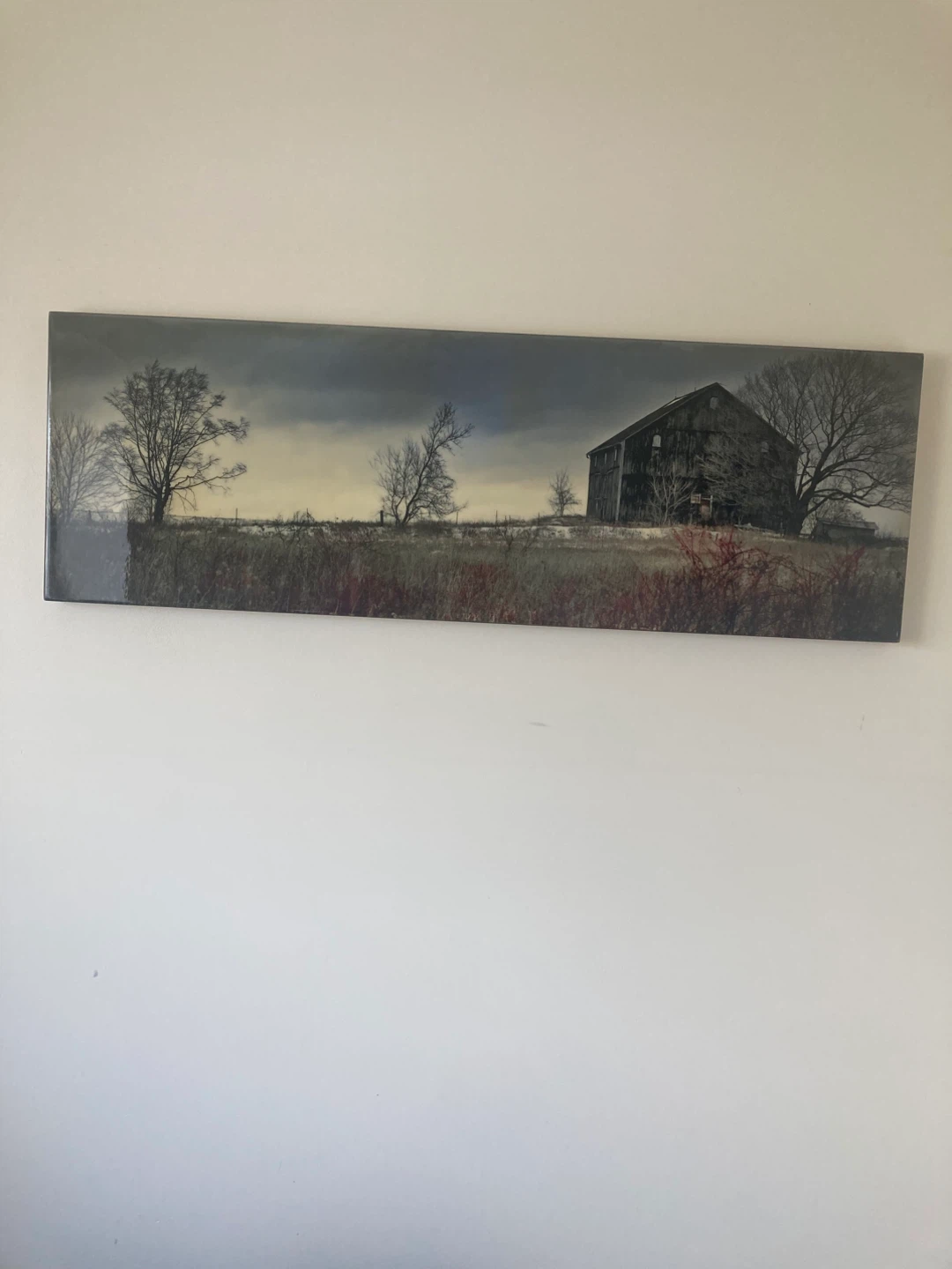 Panoramic Landscape Barn Wall Art