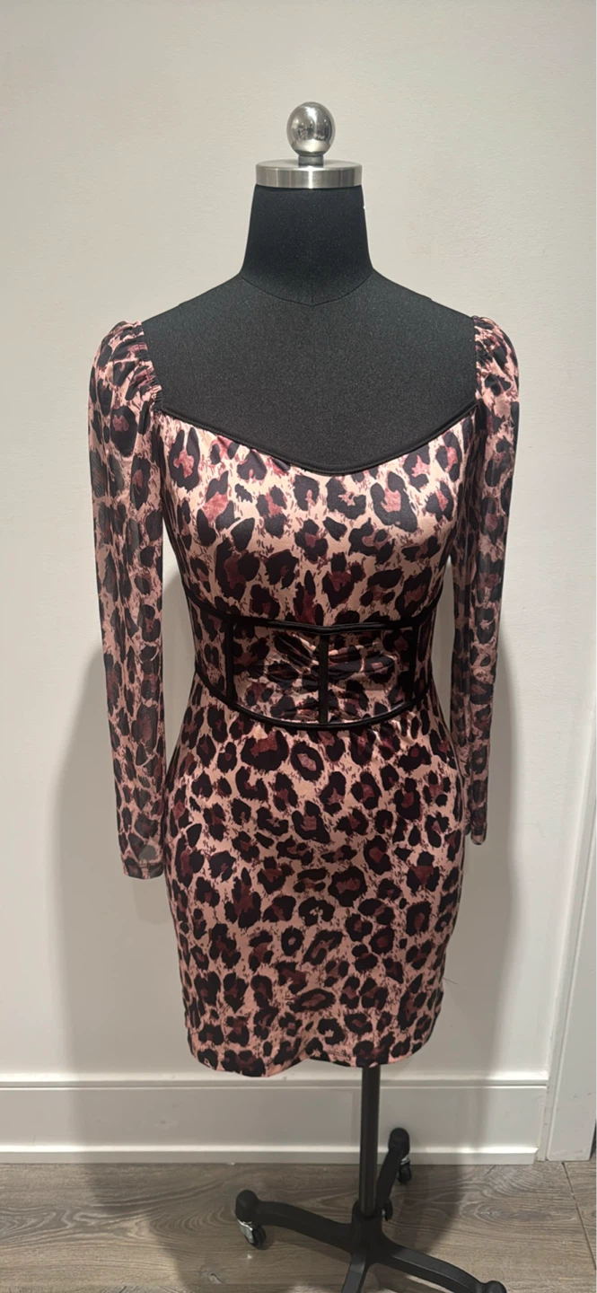 Leopard Print Mesh Sleeve Mini Dress - photo 2
