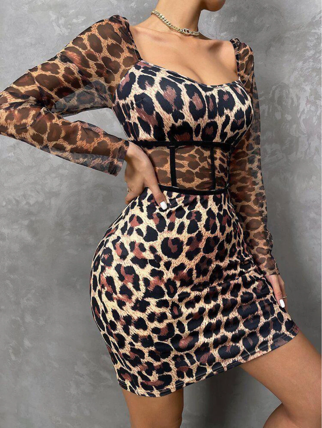 Leopard Print Mesh Sleeve Mini Dress